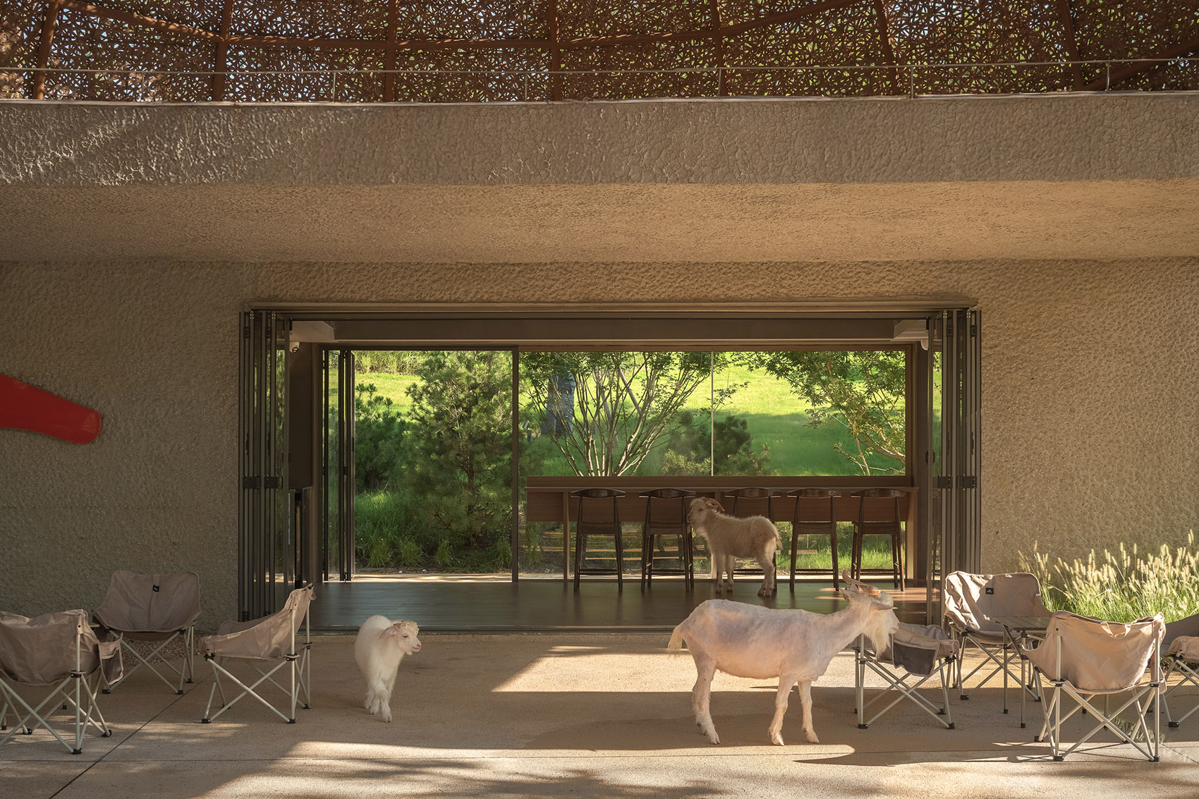 武汉麓客岛动物农场丨中国武汉丨万社设计-80