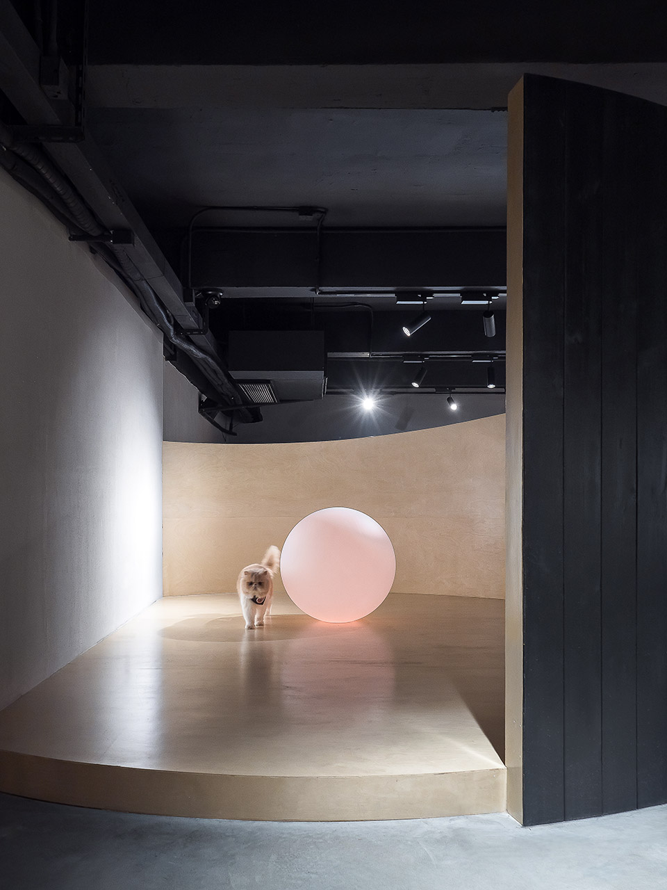 就是这样的喵,广州 / E Studio 壹所设计工作室-42