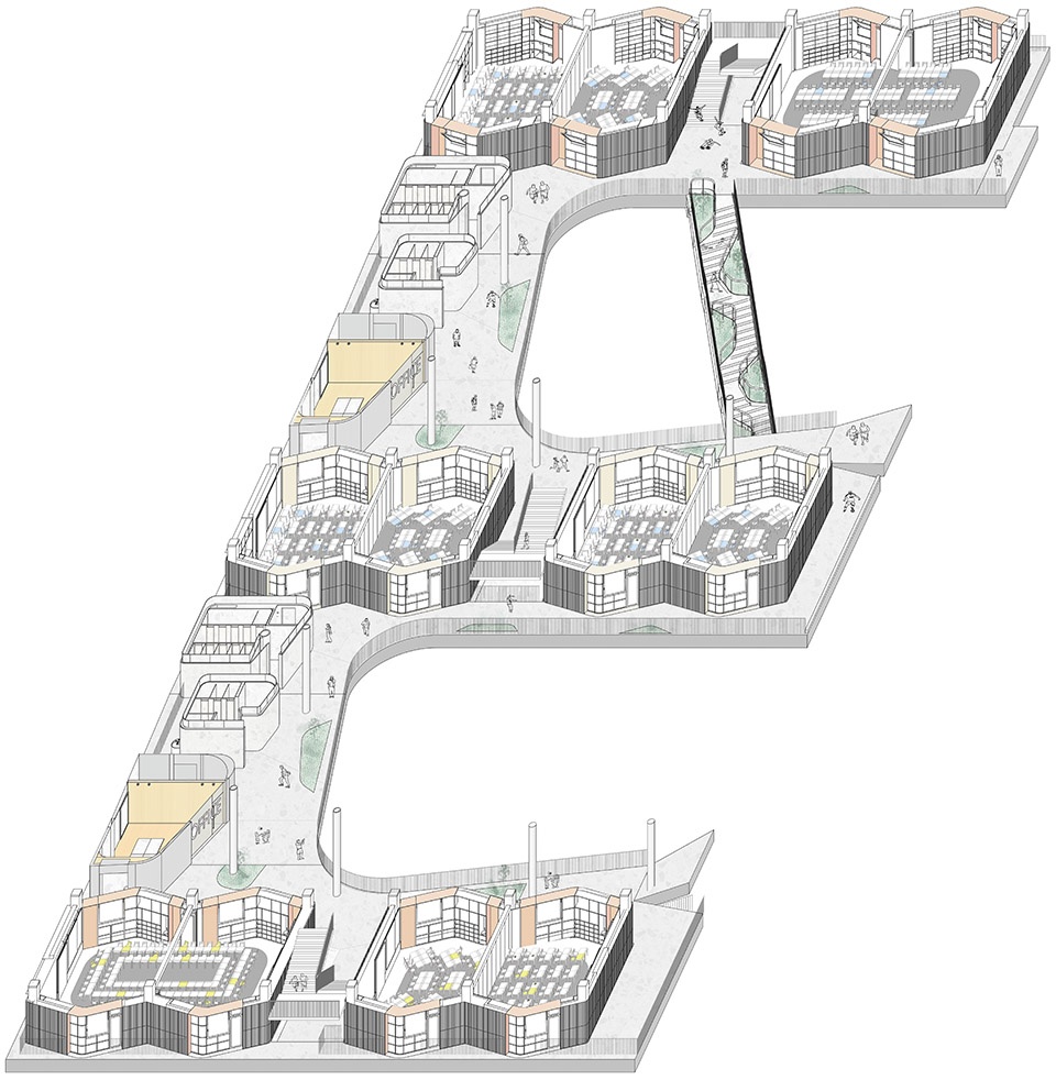 红岭实验小学-31