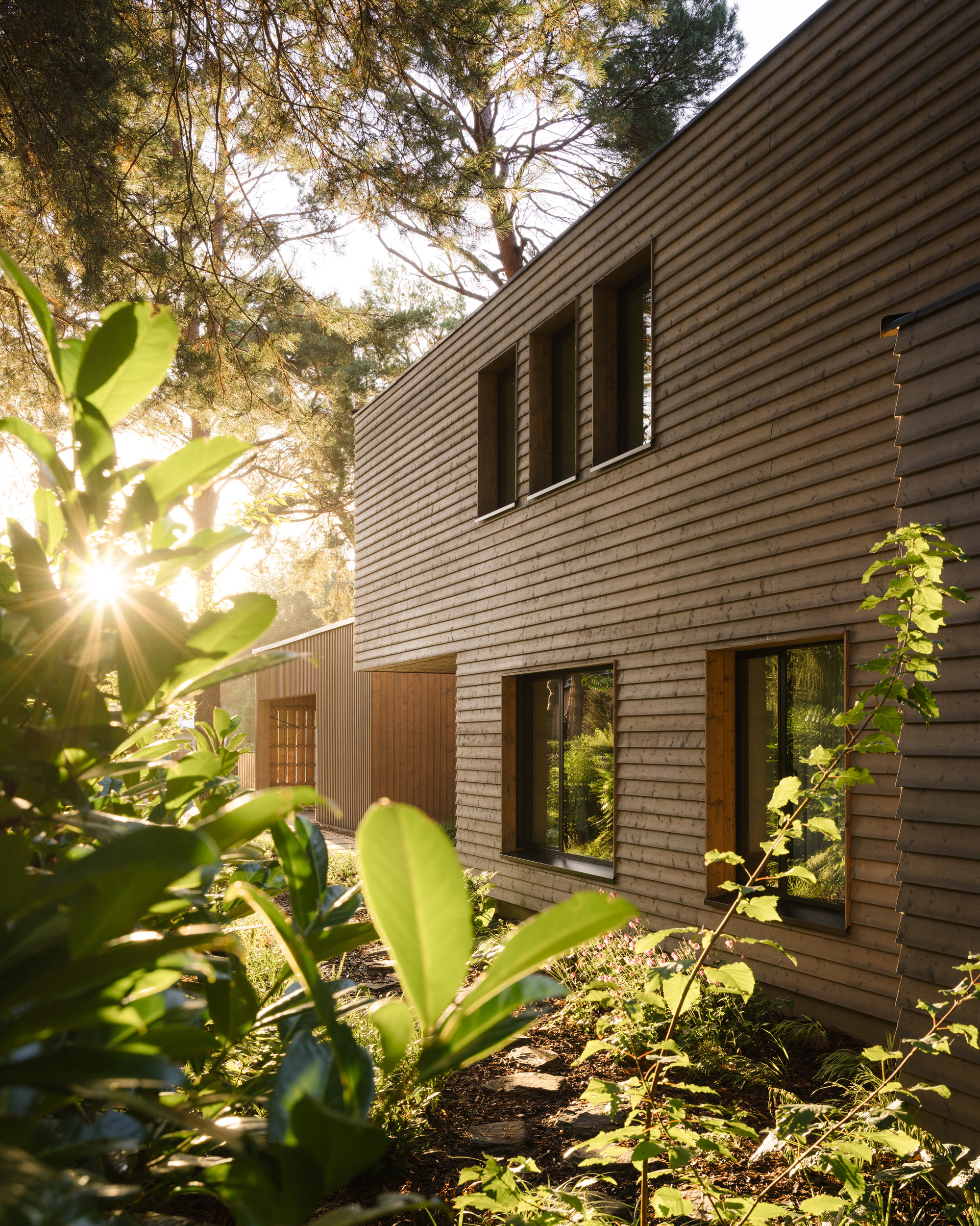 Residence on the Edge of National Forest / Studio GAB-26