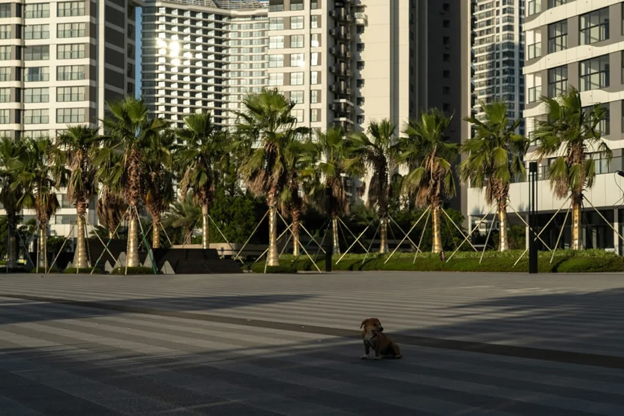 金融街海世界三期丨中国惠州-25