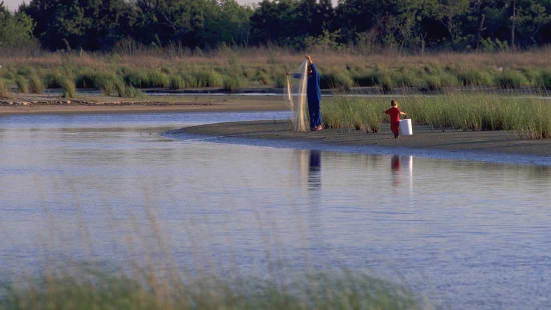 德克萨斯州 Baytown 自然湿地中心丨美国德克萨斯丨SWA-8