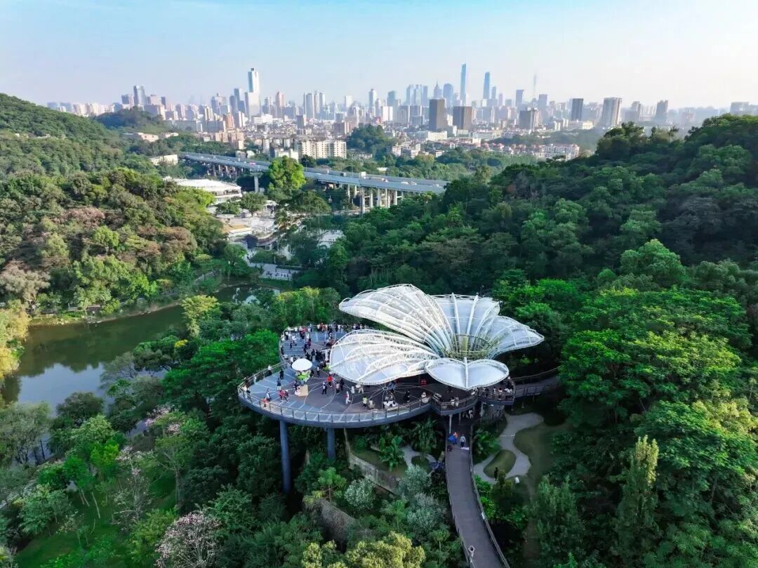 秋游啦！广州这个“靓出片”的景点不容错过-11