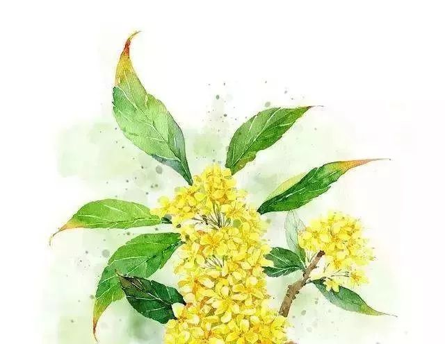 桂花洲——现代简约与简欧风格的完美融合-61