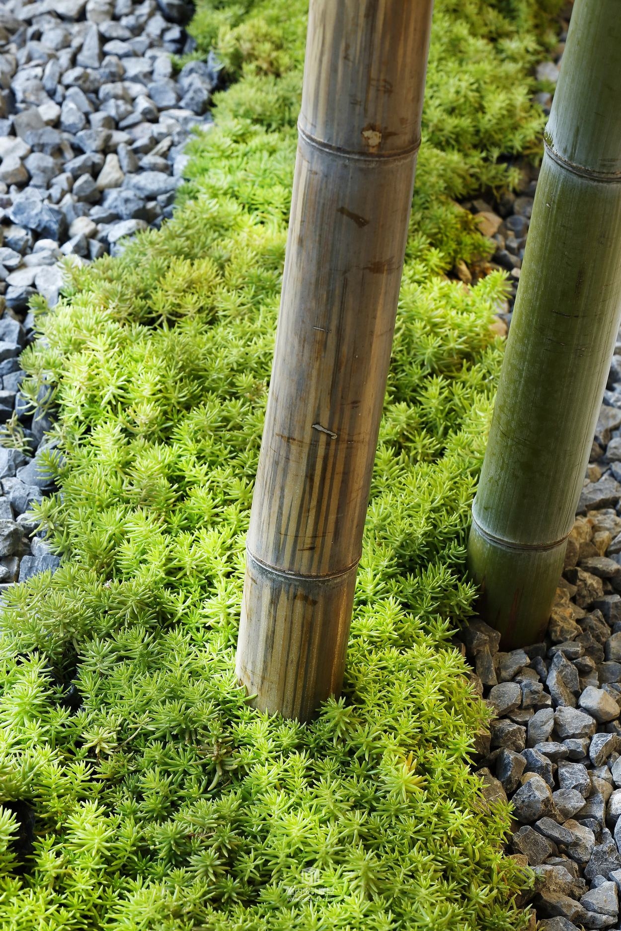 筑详装饰设计--康桥悦城生活美学生机馆-6