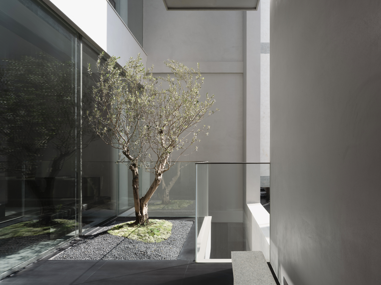 容光丨中国潮州丨今古凤凰-50