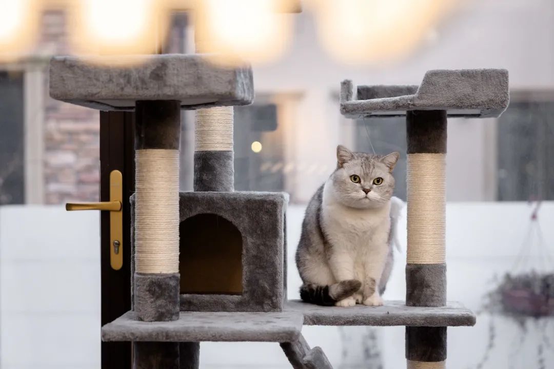 溪栖庄园奢美独栋别墅设计丨形者美学 SXZ.design-38