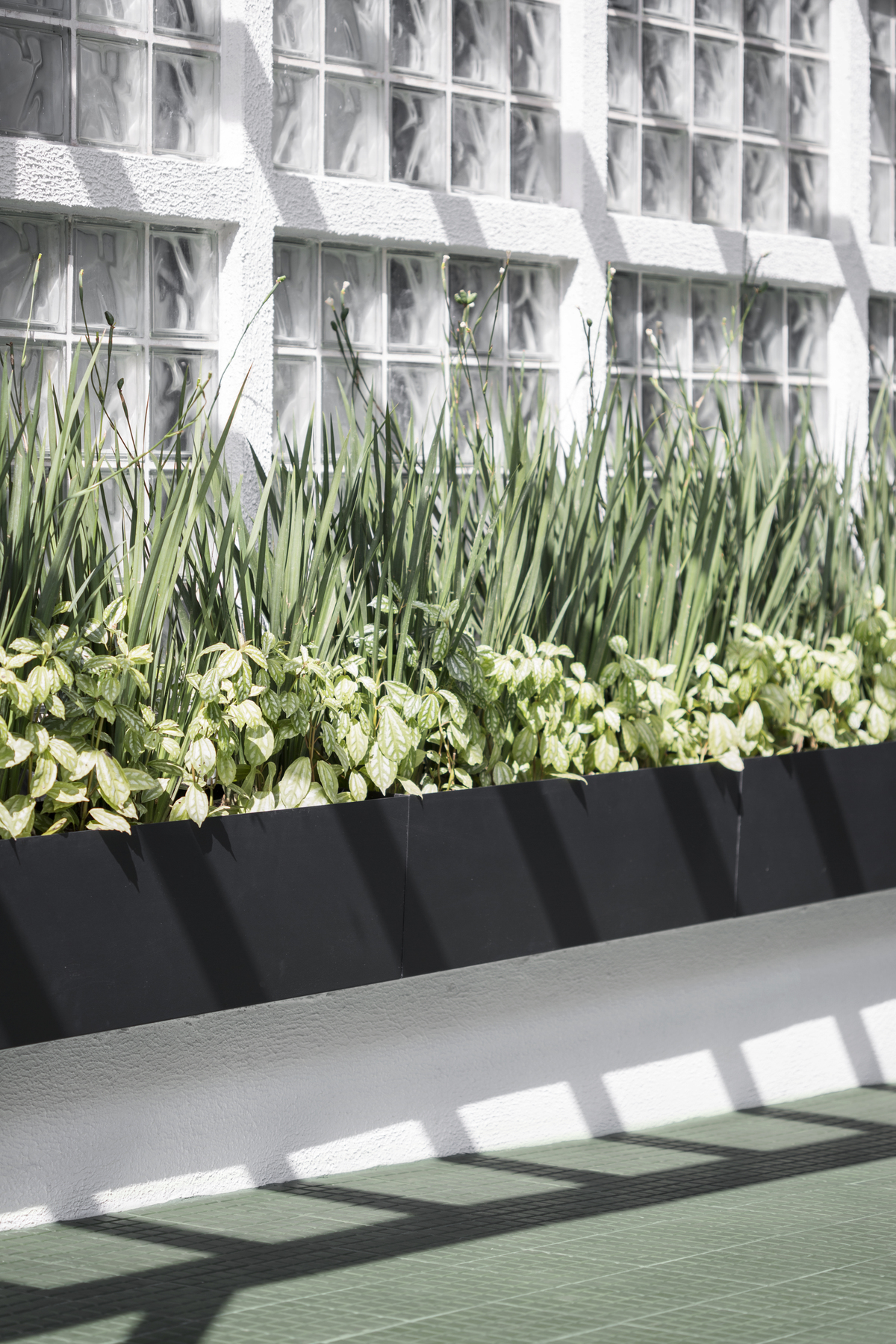 阿方索·佩纳大楼入口设计丨巴西圣保罗丨Angá Arquitetura-37