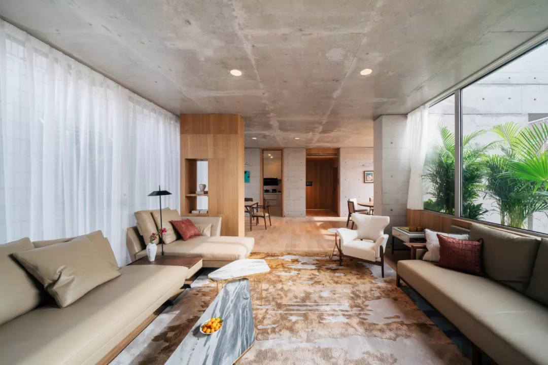 琚宾爆拆《皮囊》里的家，握手楼逆袭美宅+图书馆综合体！-88