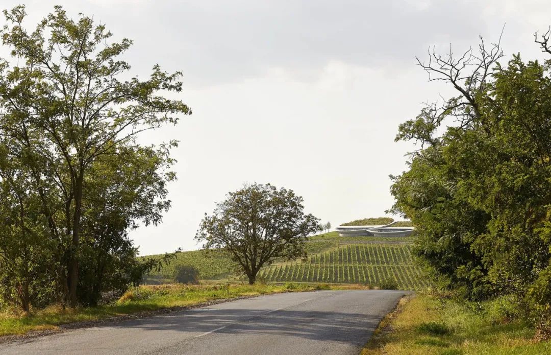 绍什卡·托卡伊酒庄丨匈牙利-2