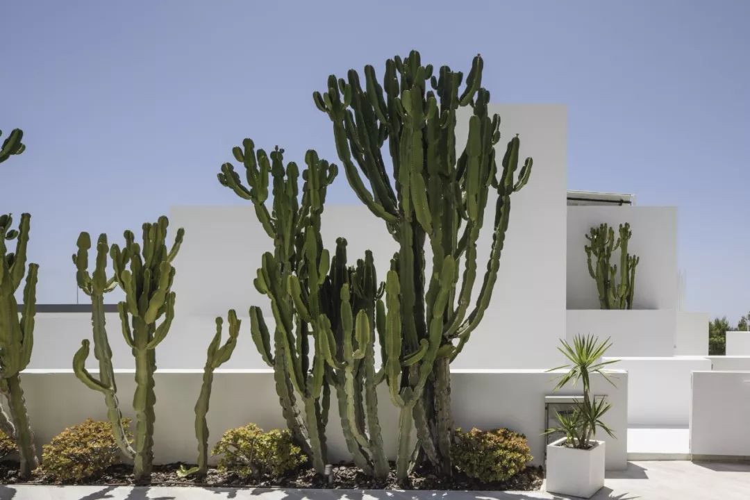 地中海风情的 Villa Mediterraneo | 几何结构与自然景观的完美融合-10