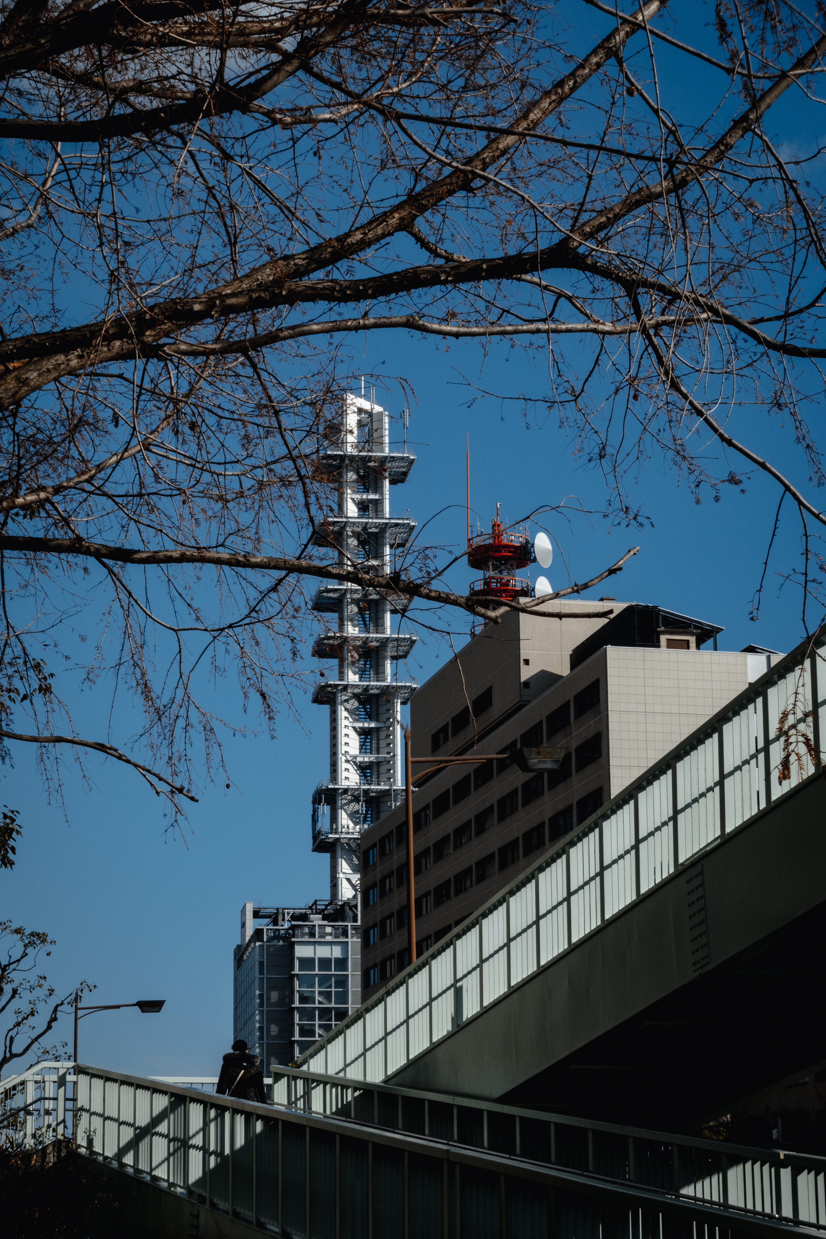 室内设计案例分析-4