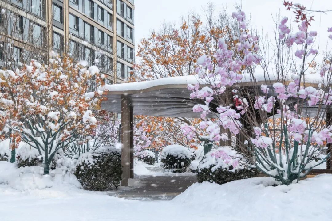 北京·中海·翠湖玖章丨中国北京丨麦田景观-10