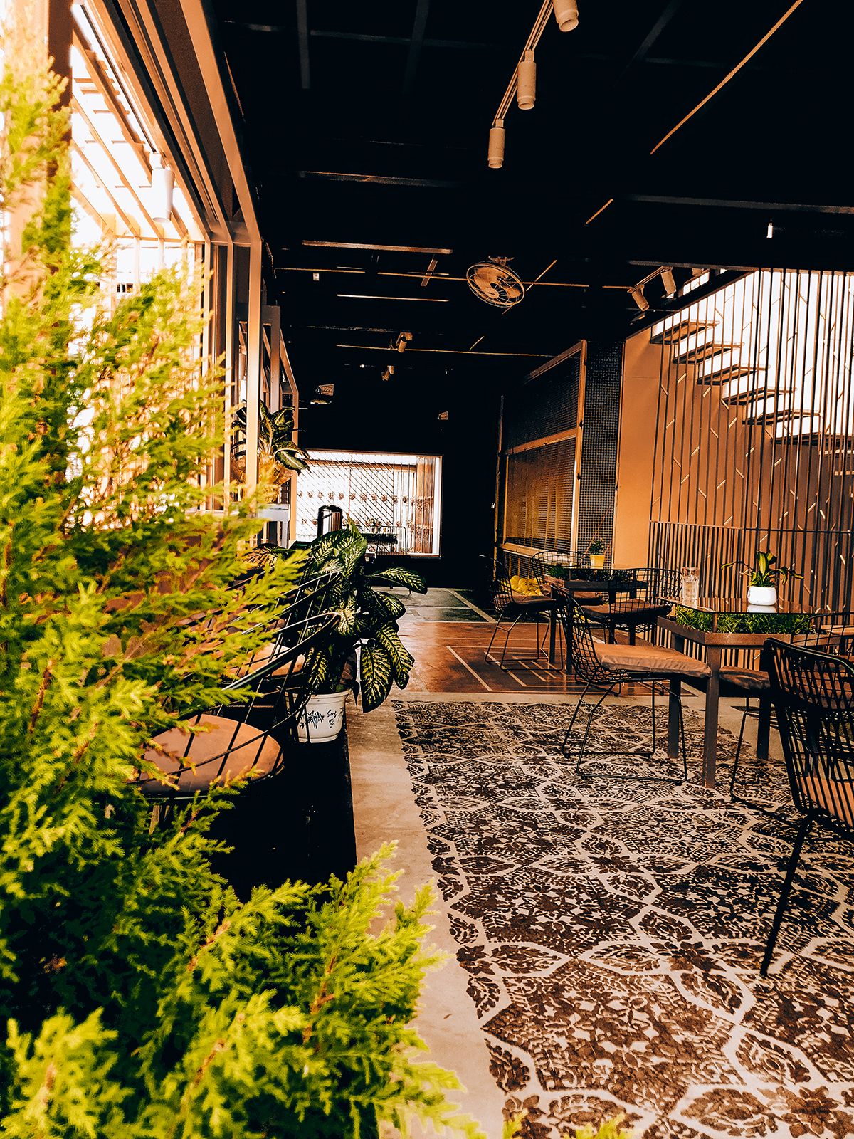 Vibati Coffee(乡间咖啡馆的逆袭)-34