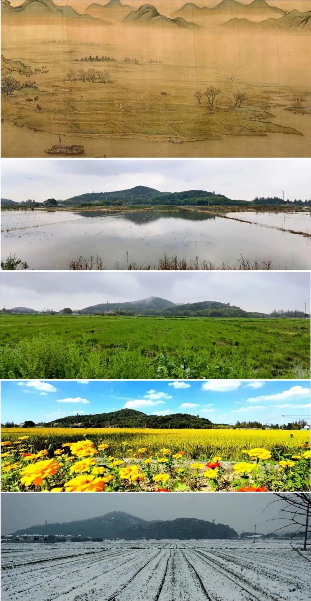 诗画天马——从古画中走出来的沪派江南-42