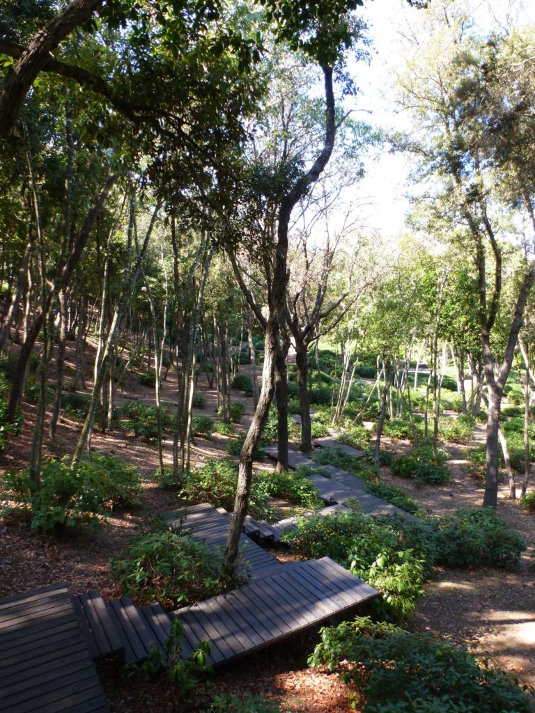 蒙特 Argentario 的别墅庄园
注:Monte Argentario可音译为蒙特 Argentario ,若有特定的(中文)标准译法,可替换为对应标准名称 丨意大利丨Lazzarini Pickering Architetti-29