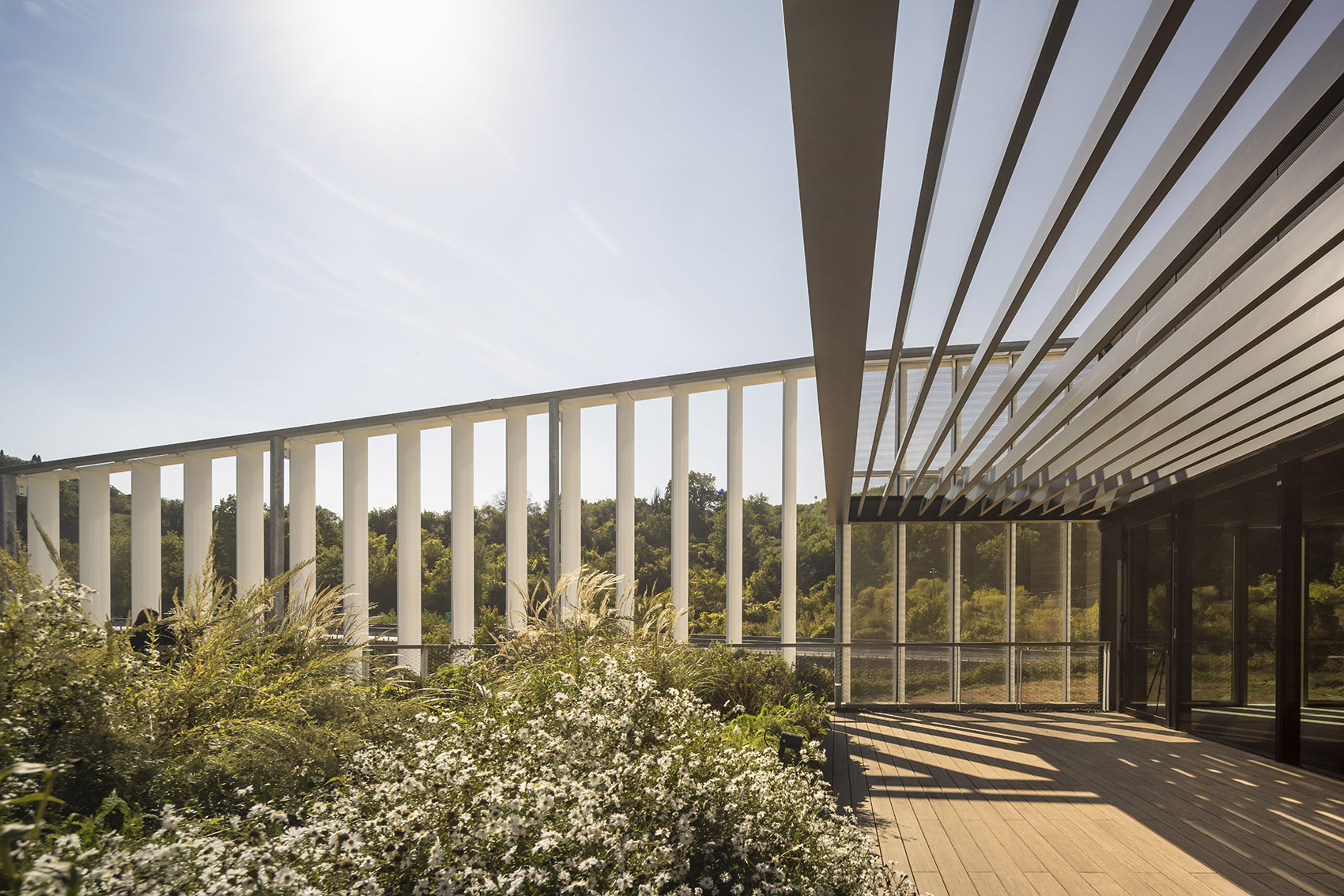 意大利 Furla 总部丨意大利佛罗伦萨丨GEZA Architettura-33