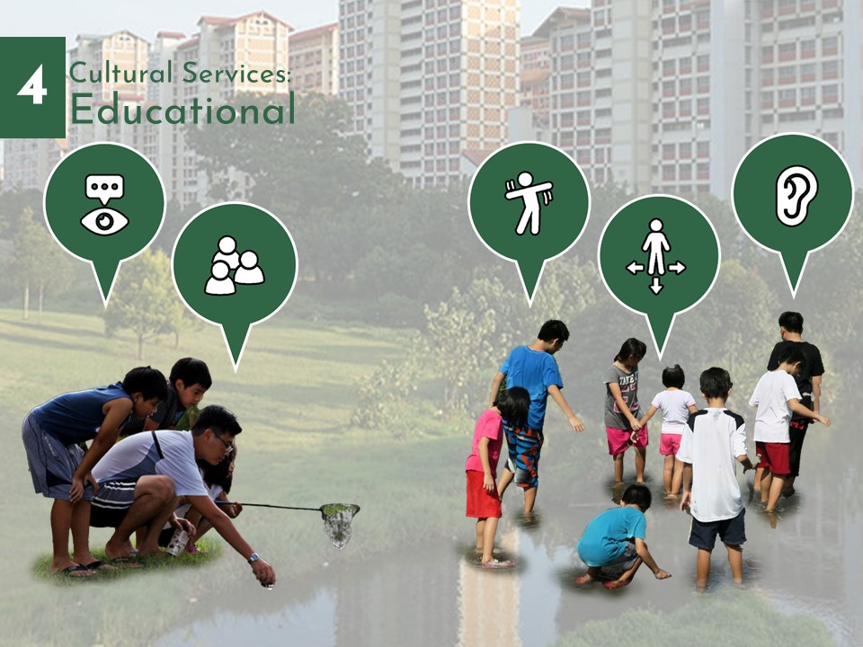 West Coast Park Redesign for Mitigating UHI-16