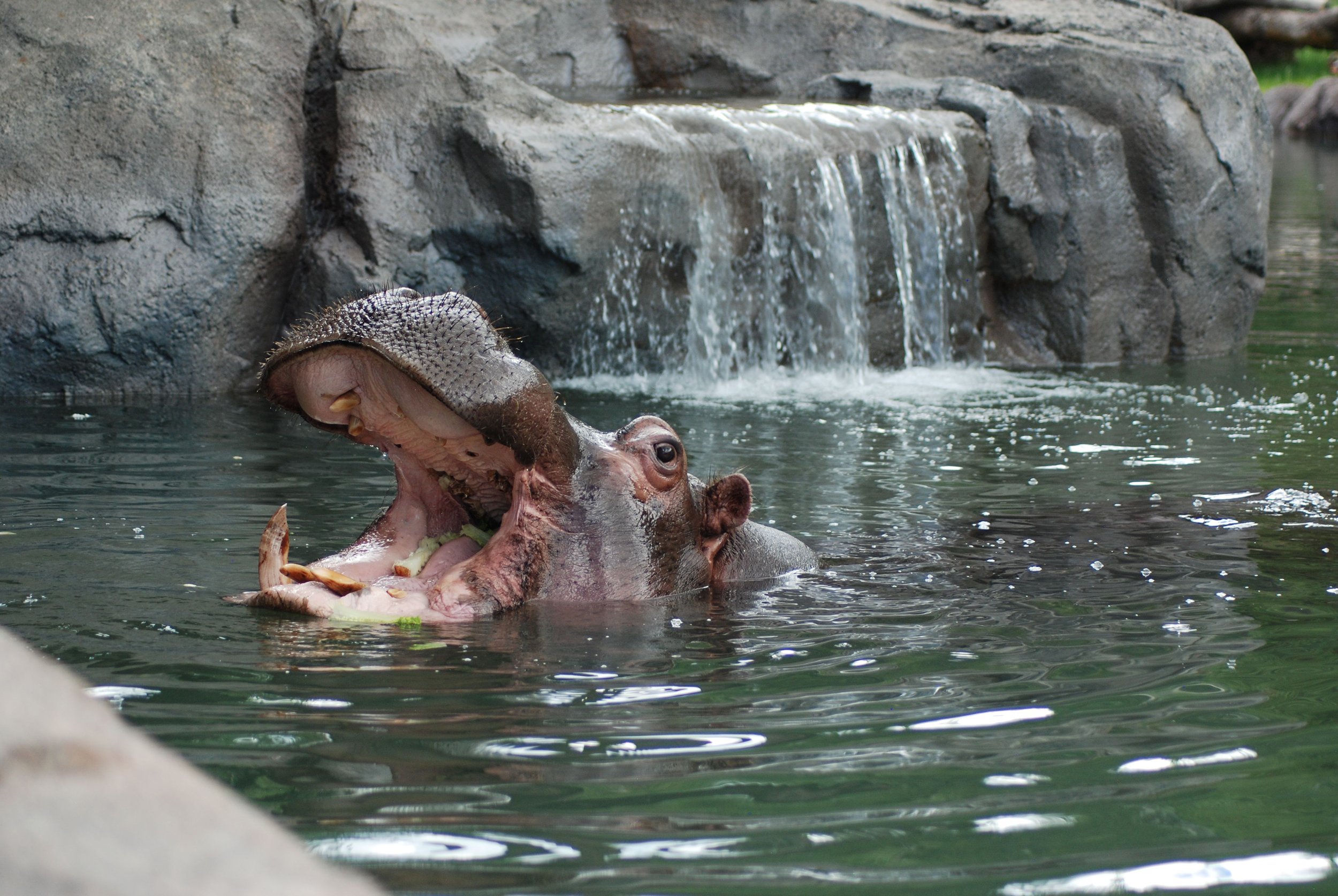 水际之地：非洲丨美国科罗拉多斯普林斯丨SH|R Studios-18