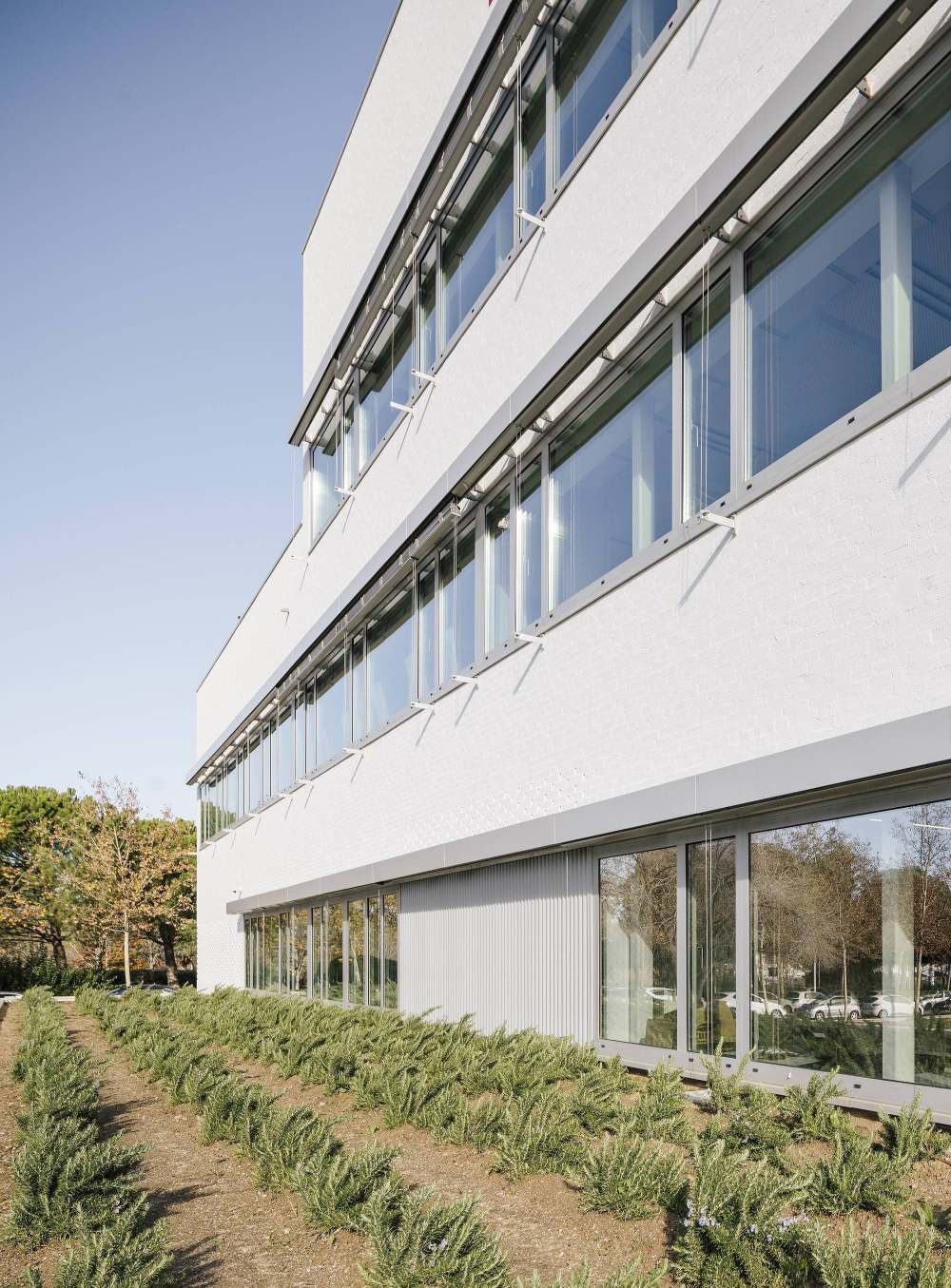 西班牙红十字会总部-31