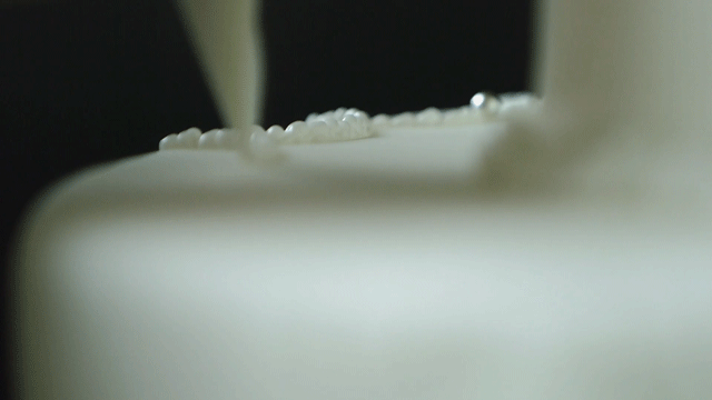 春风十里 爱囿瑰丽-21