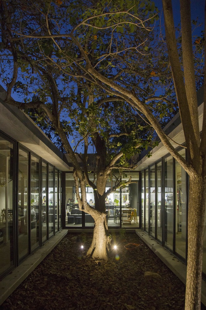 隐秘庭院 · 绿色核心的家庭住宅-32