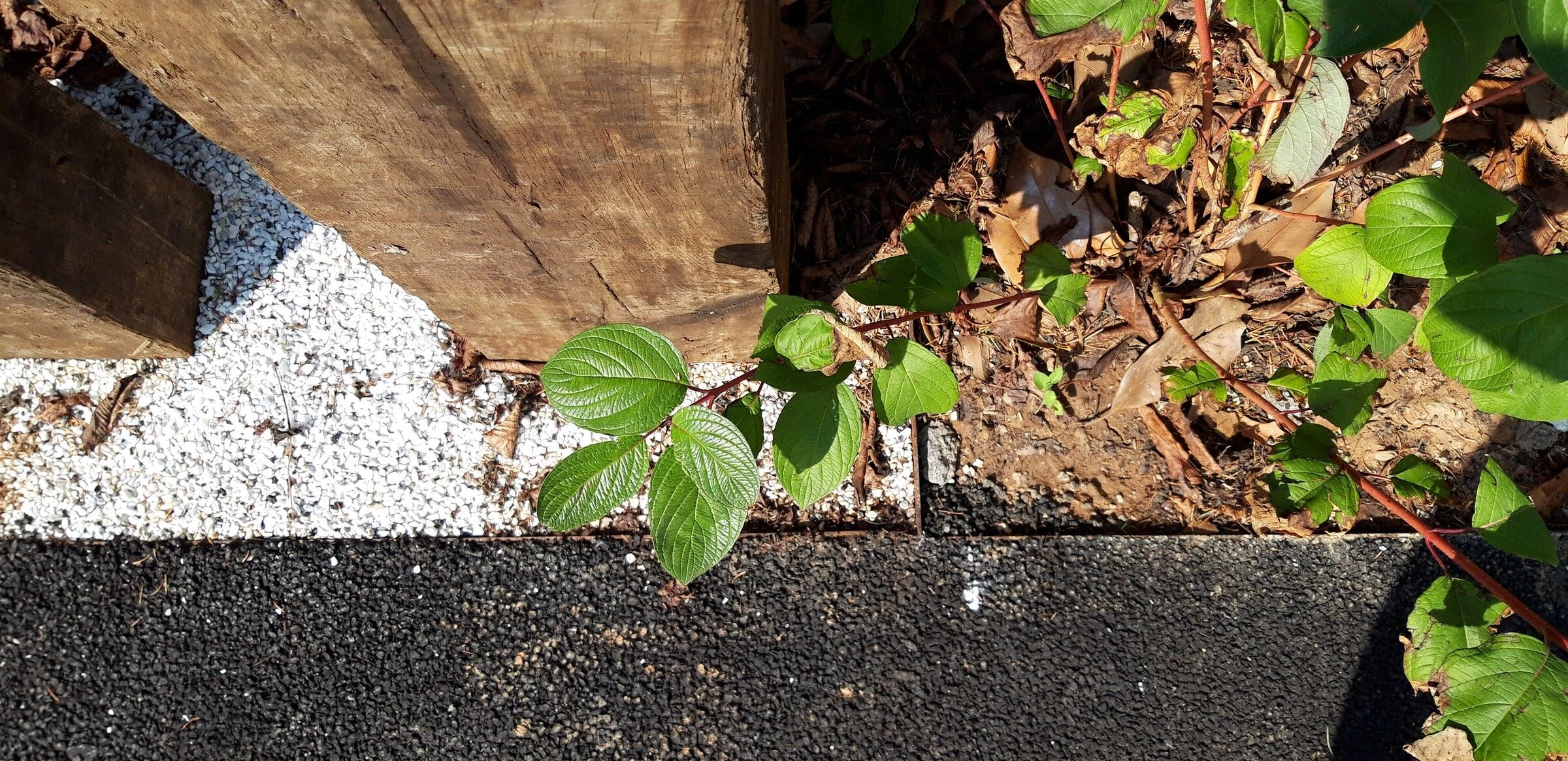 Nebbiano 乡村公共停车场丨意大利-23