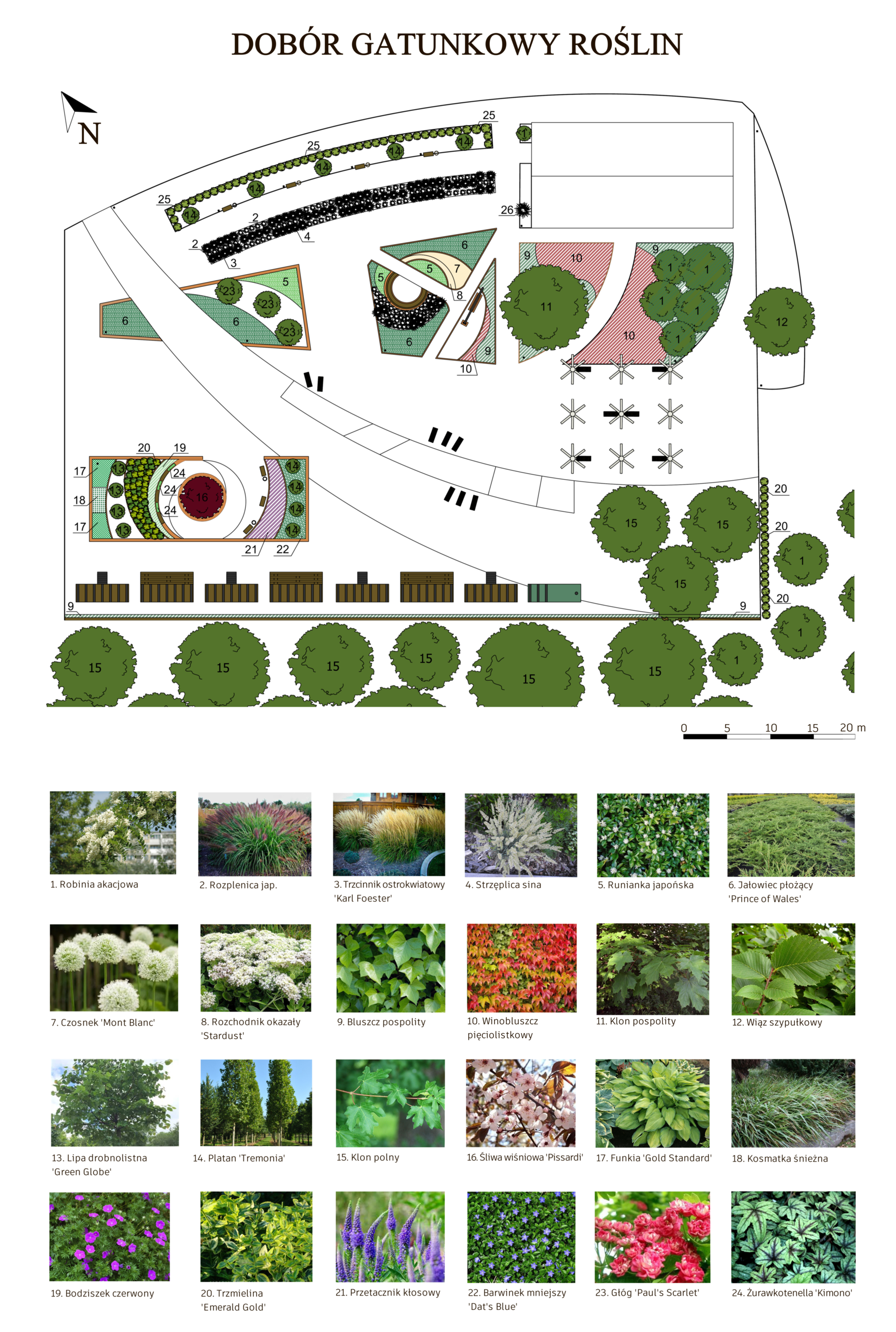 Myszków汽车站翻新项目-4