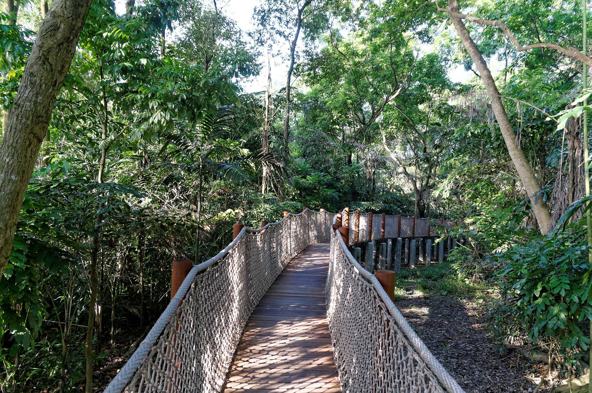 新加坡双溪布洛湿地公园——自然与设计的完美融合-11