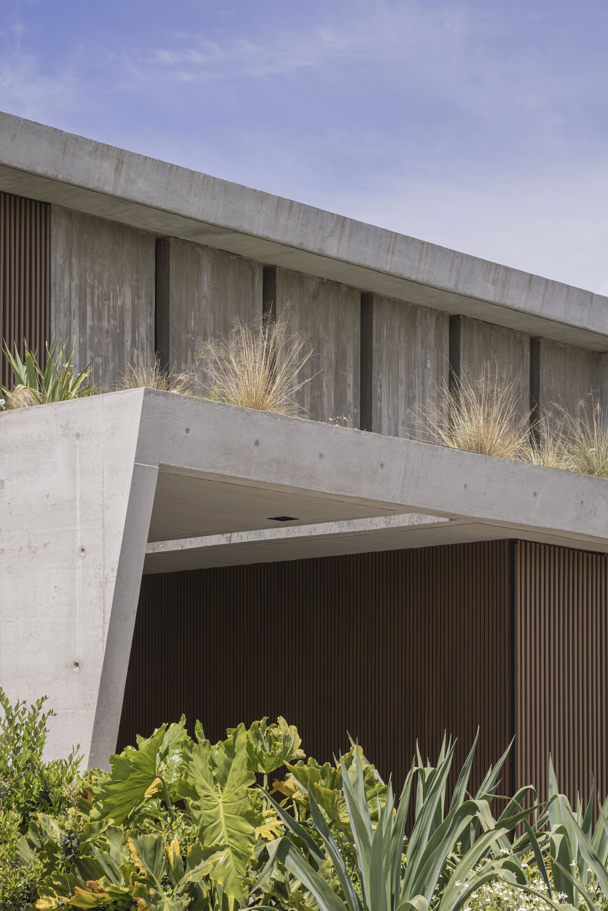 Tamiz 住宅丨阿根廷丨Gonzalo Bardach arquitectura-40