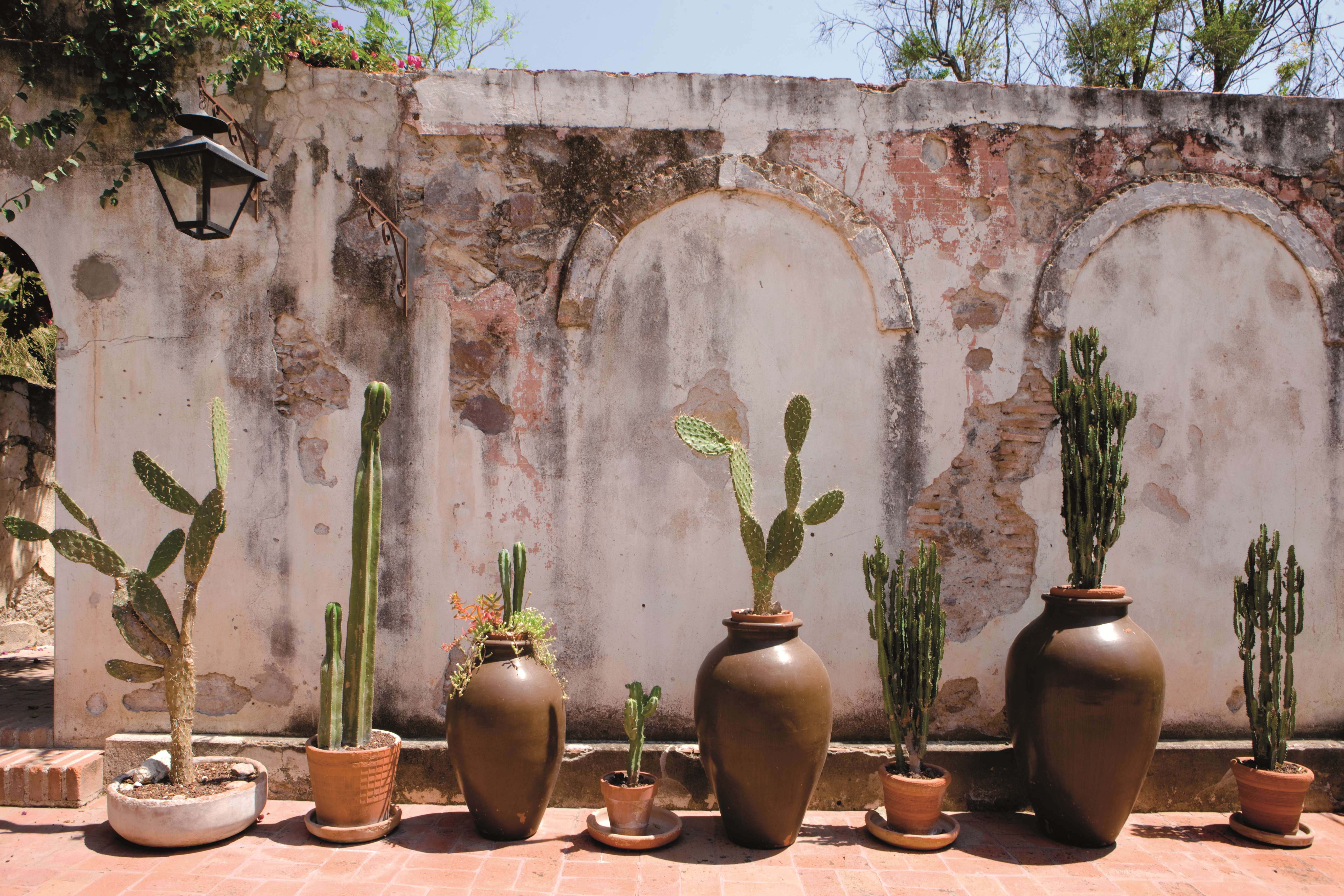 墨西哥Case de Sierra酒店-29