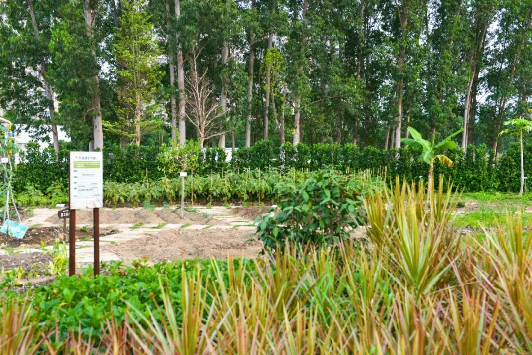 广汽丰田生态园·工业绿色风景线丨普邦设计-41