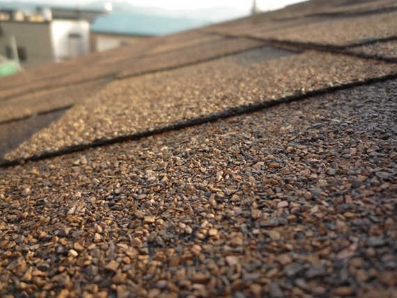 「森山さんの公園が庭の家」丨株式会社スロウル-18