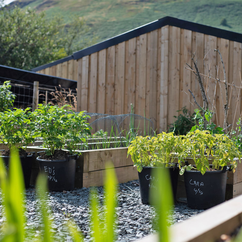 湖区乡村花园丨BEA RAY GARDEN DESIGN-10