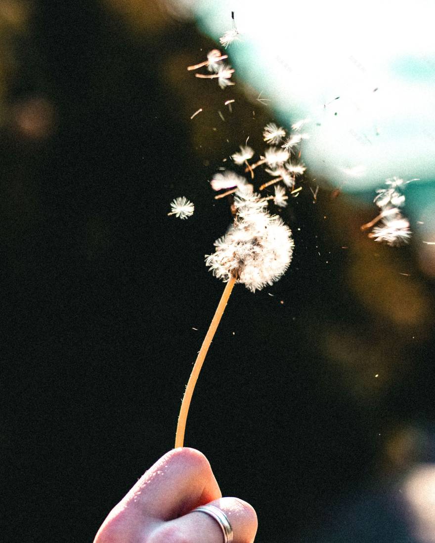 蓝色周一,让鲜花点亮你的生活-21