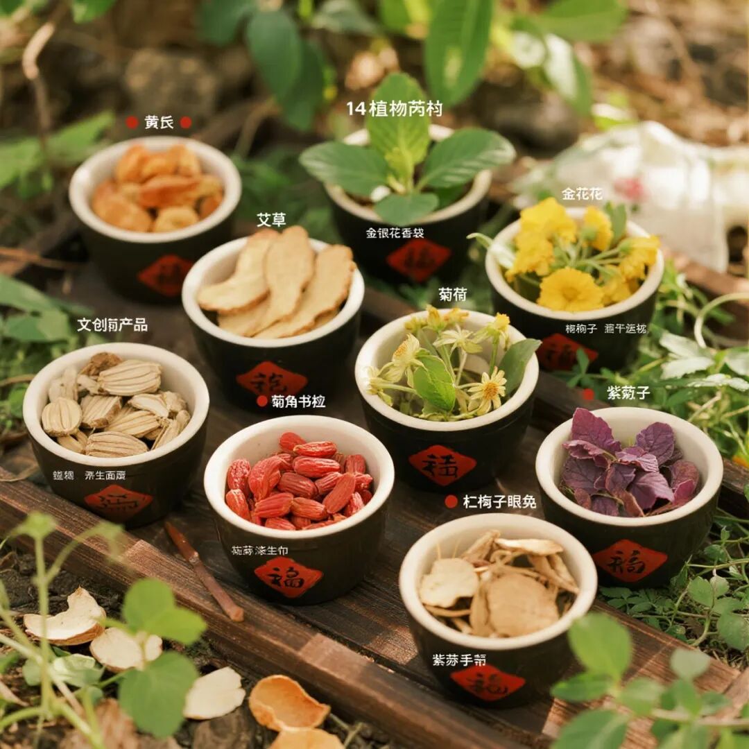 华中60亩中医药康养研学营地规划设计建设与运营-117