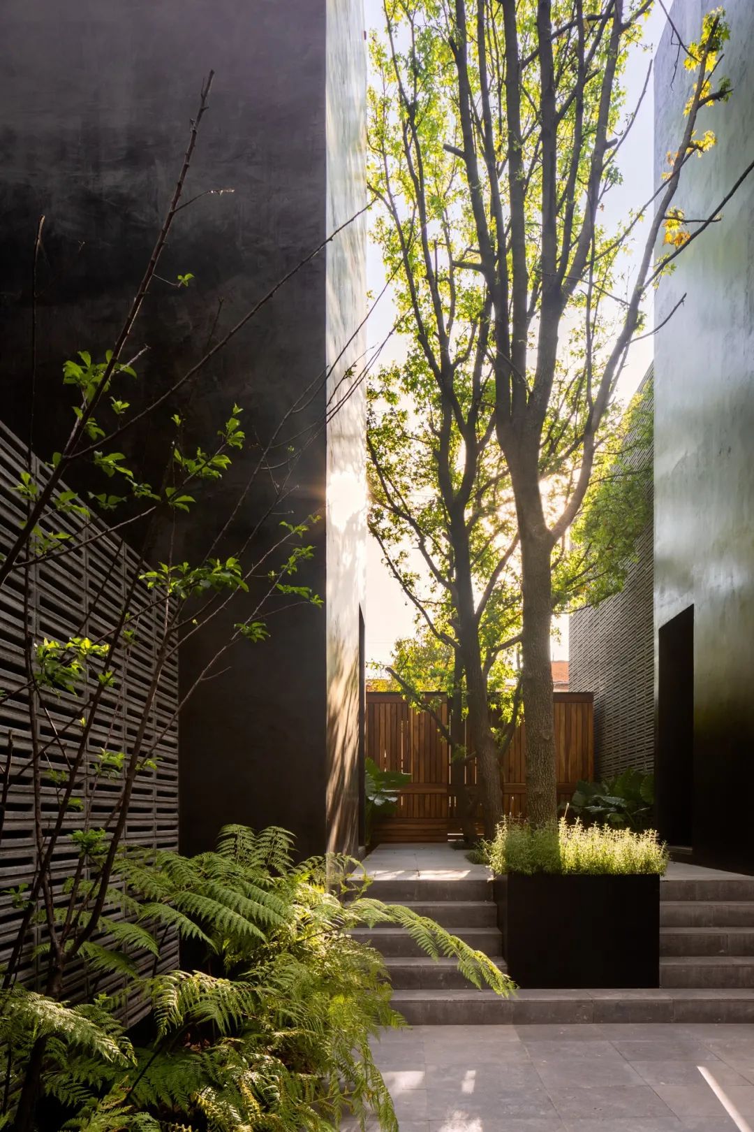 墨西哥现代住宅设计 | 融入自然，展现多元文化-171