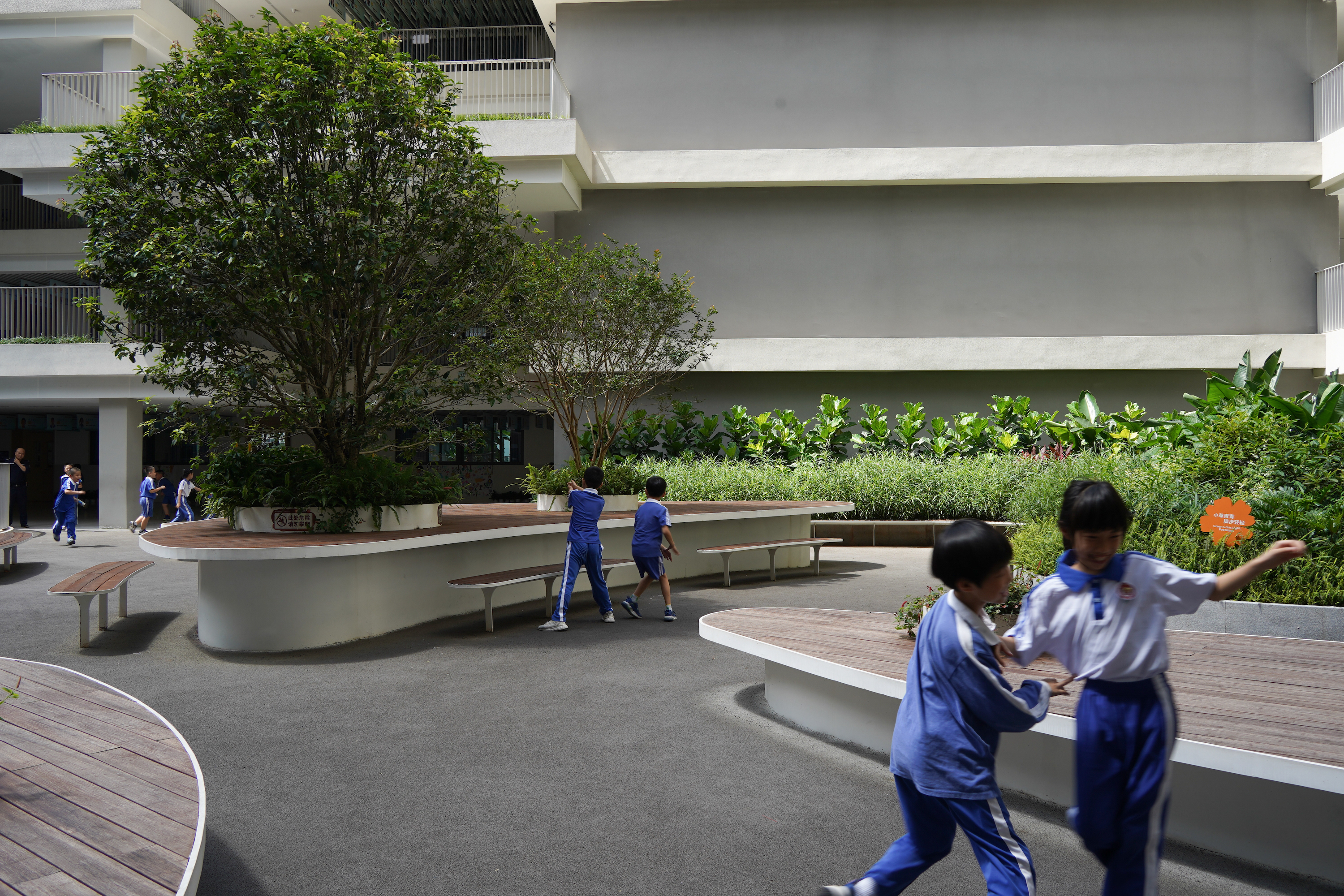 红岭教育集团 华富实验学校丨中国深圳丨大小景观,深圳市建筑设计研究总院有限公司,广州天泓-84