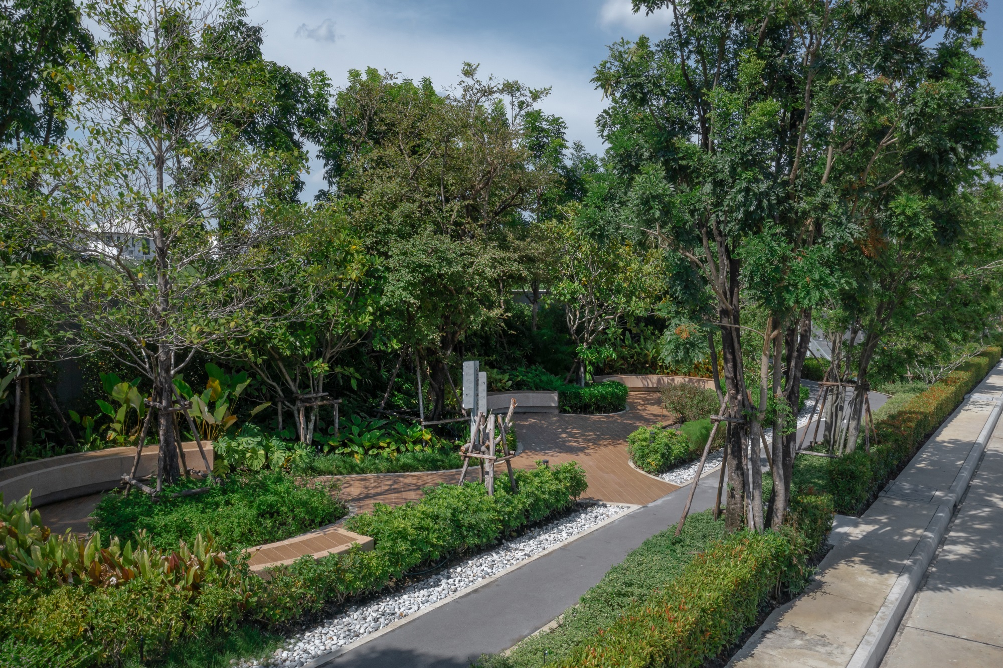 川春镇兰实空 3 区丨泰国巴吞他尼-51