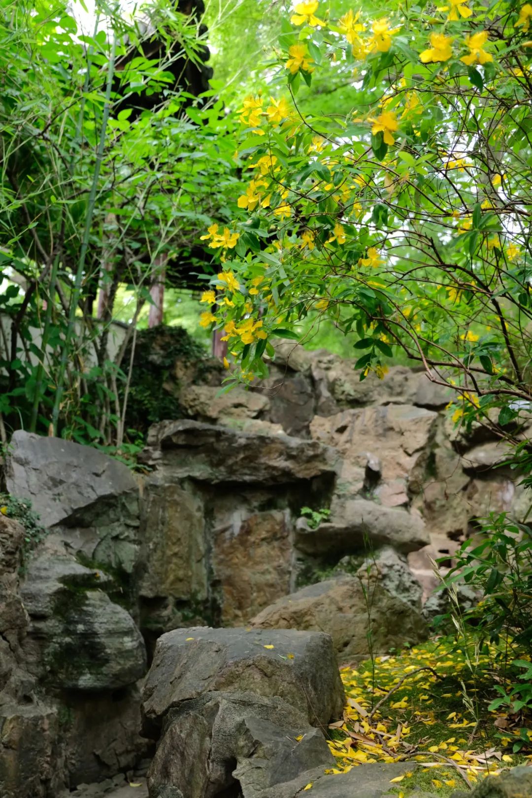 留园丨中国苏州-12