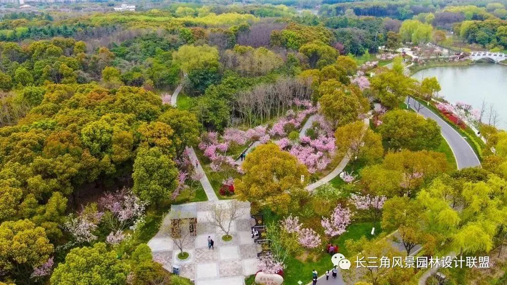 昆山市城市生态森林公园丨苏州园林设计院-28