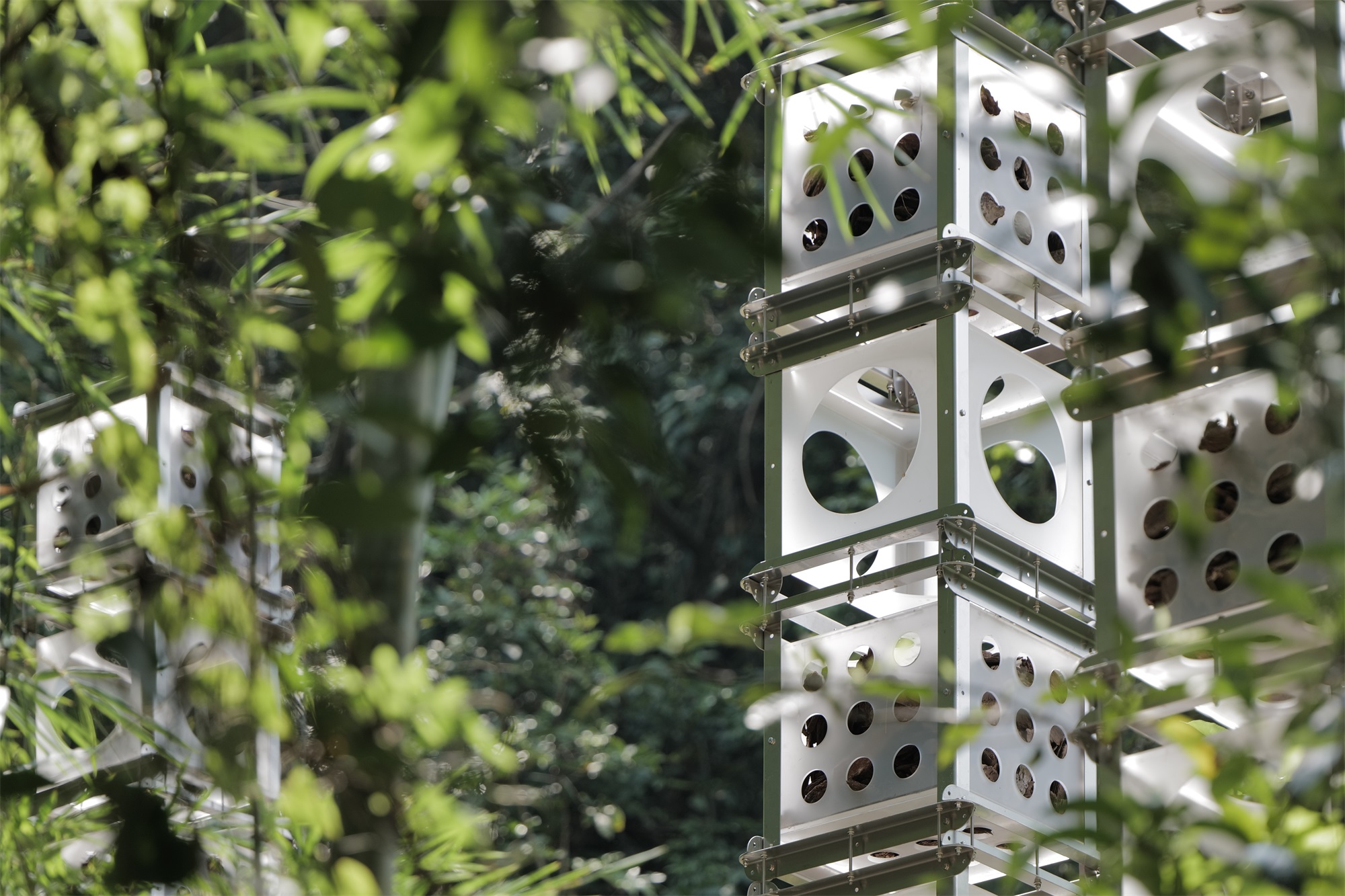 自然灯塔丨中国惠州丨JXY Studio-20