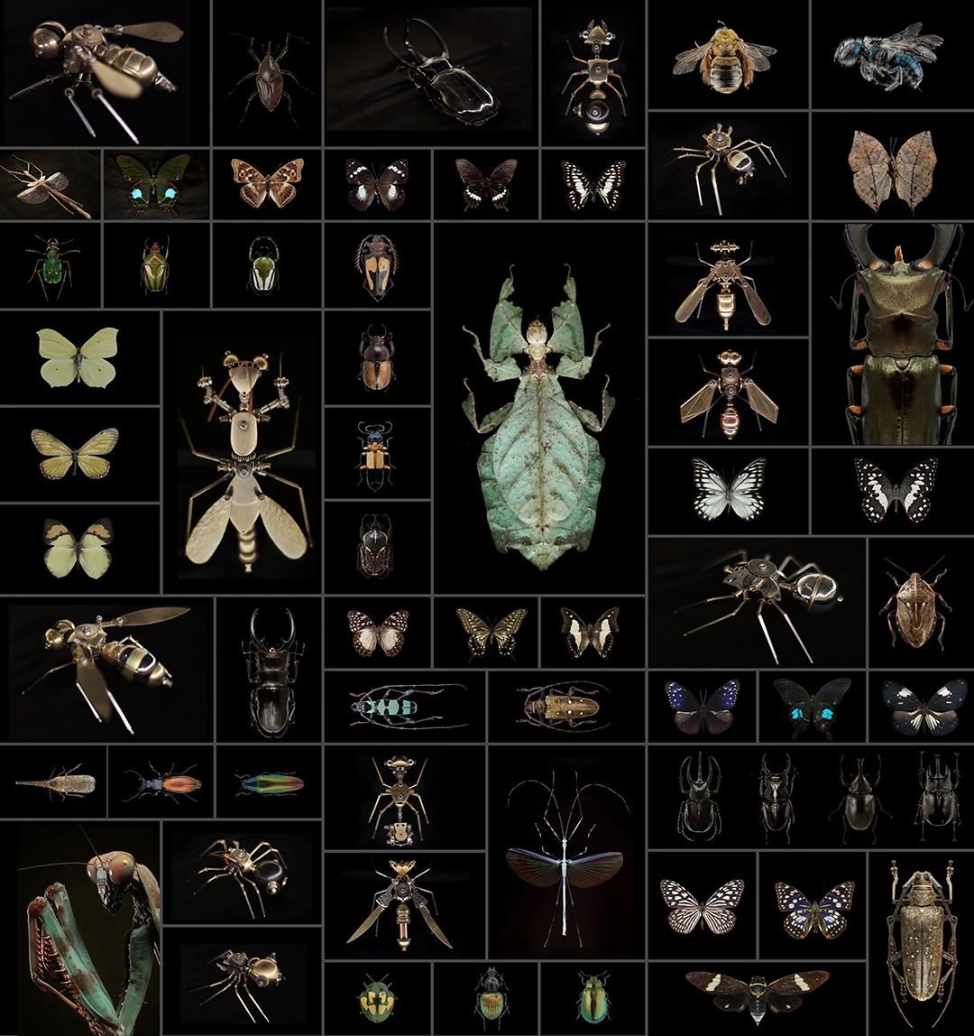 万科公园城市示范区-90