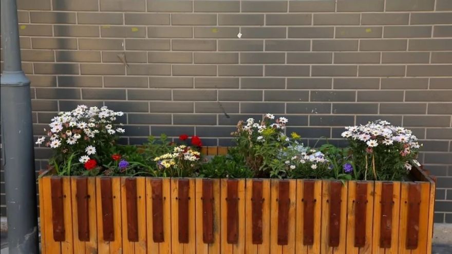 花园城市|跟随同衡专家和《数说北京》探访北新华街“精致花园社区”微更新实践-103