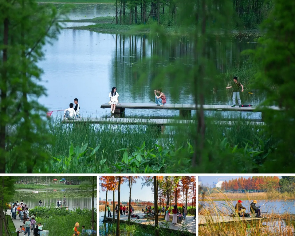漂浮的森林:南昌市鱼尾洲公园丨中国南昌丨土人设计-45