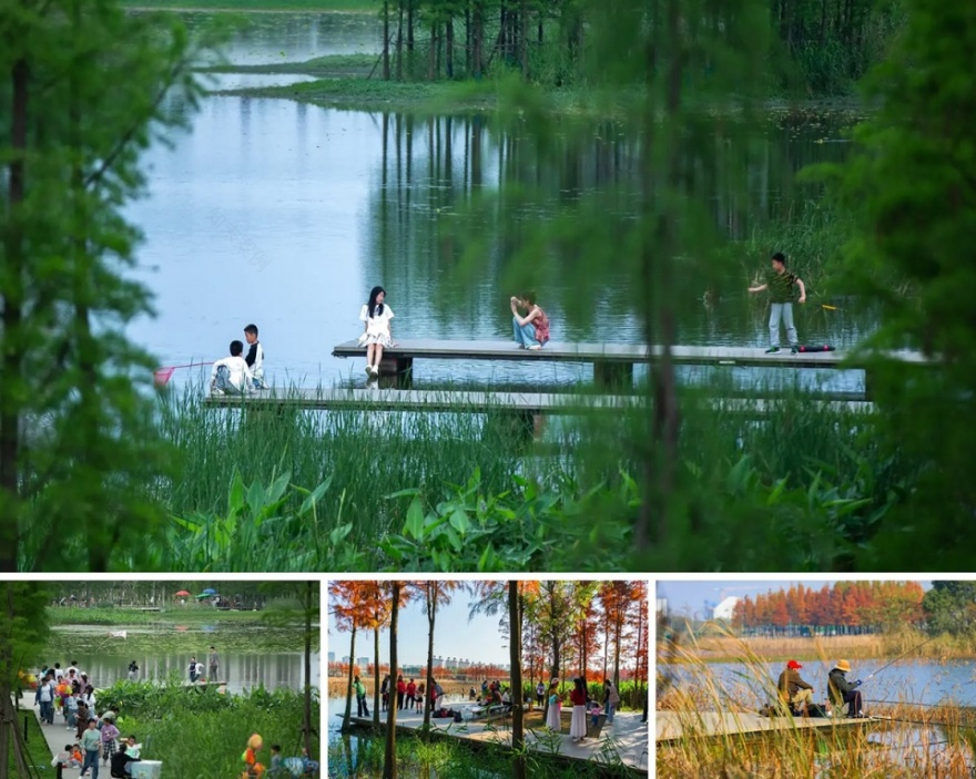 漂浮的森林:南昌市鱼尾洲公园丨中国南昌丨土人设计-45