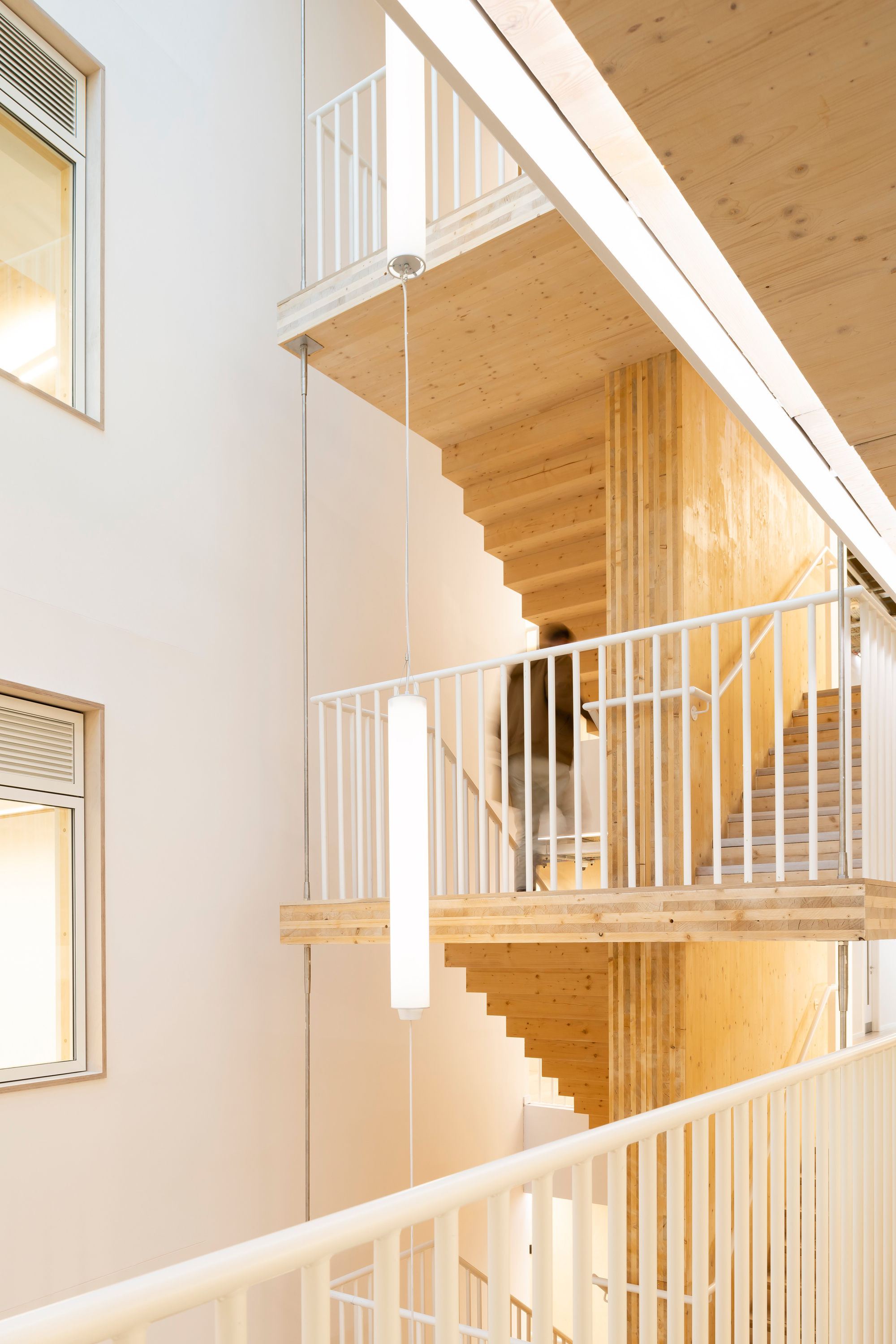 绿色之屋 · 环保创新的办公建筑设计丨英国伦敦-5