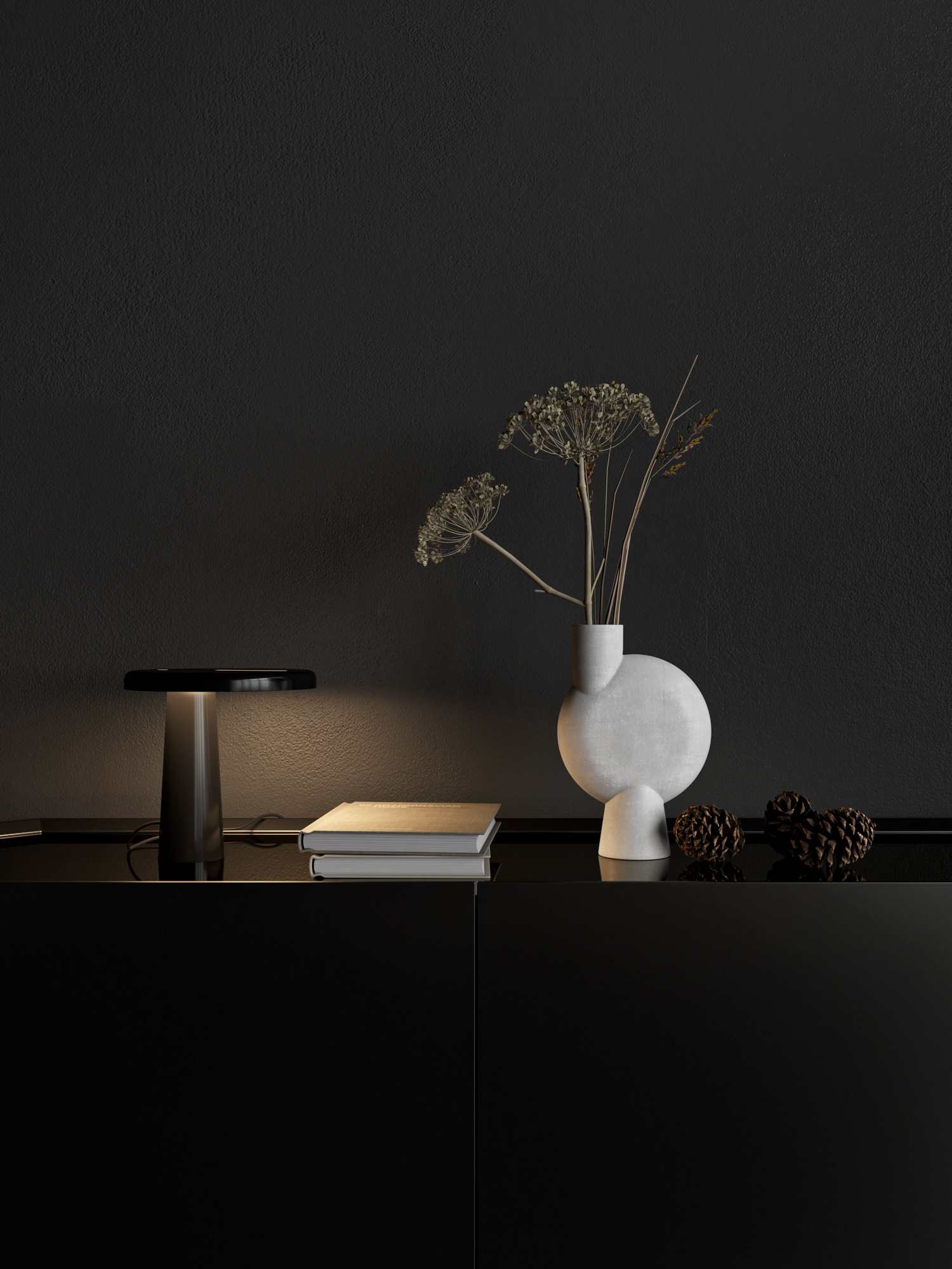 黑色别墅丨Andrey Vladimirov-26