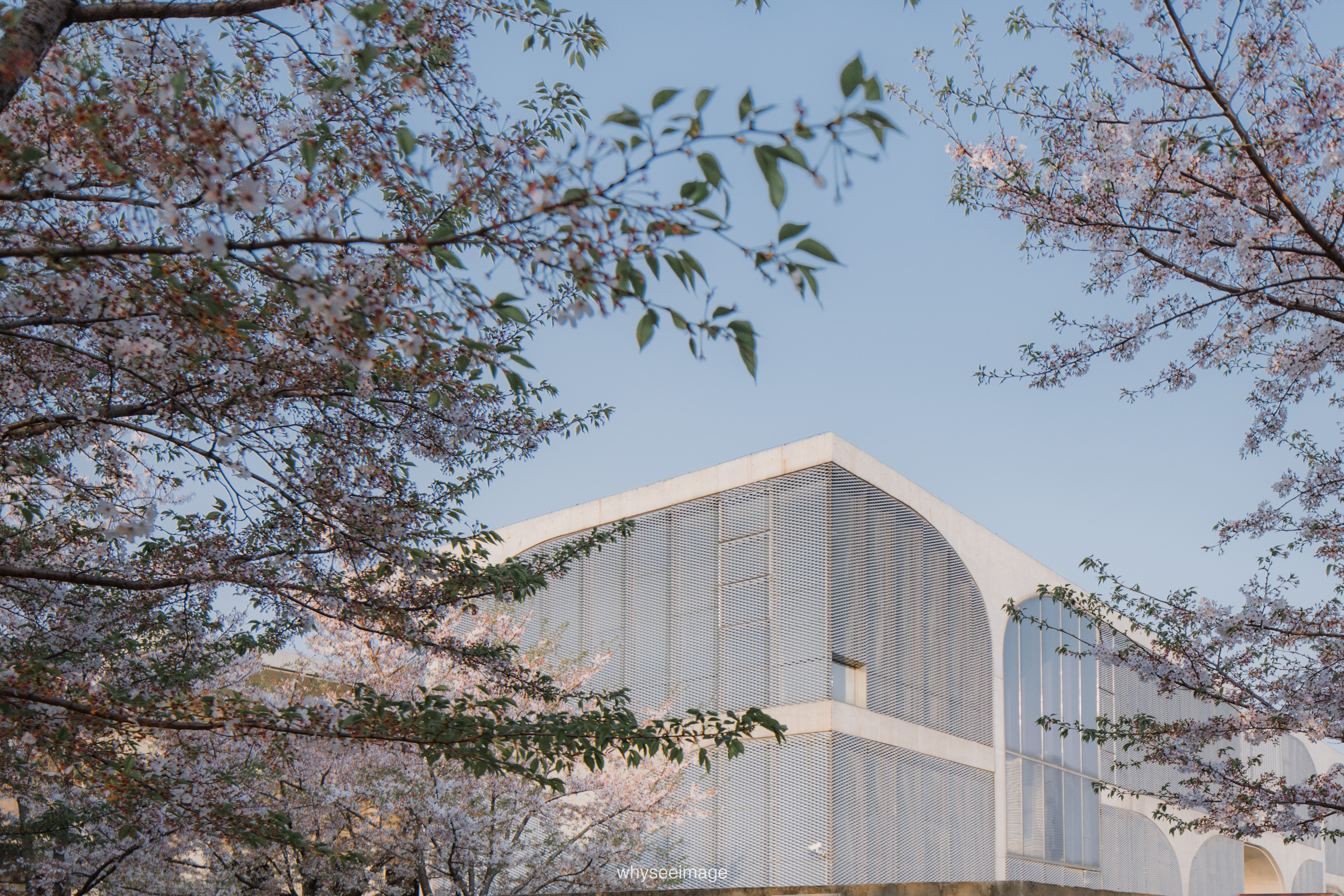 樱花+龙美术馆丨中国上海丨大舍建筑设计工作室-96