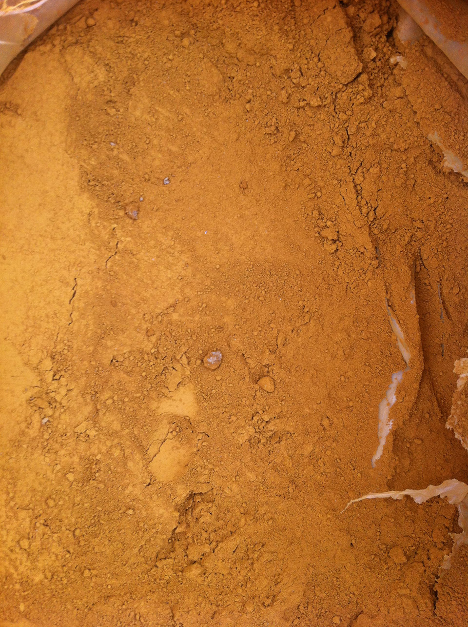 林建筑－与自然树木的共舞 / 迹·建筑事务所（华黎）-152